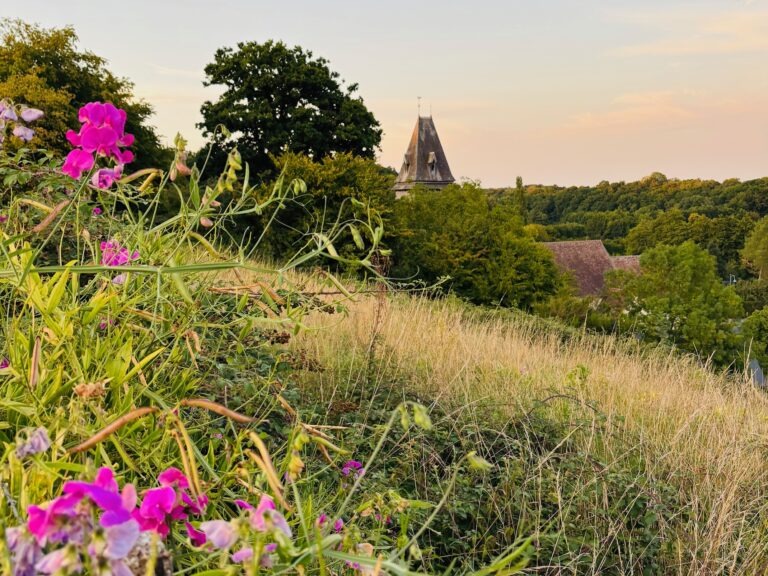 Au détrour des chemin en automne