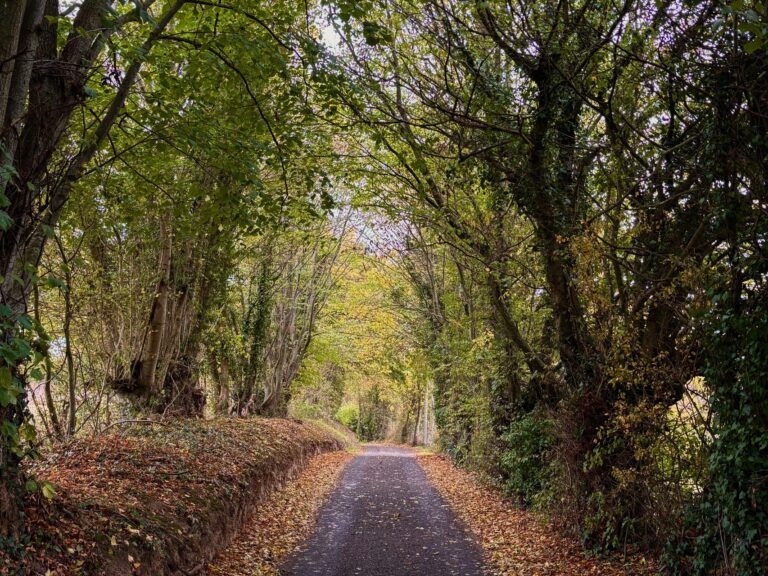 Au détrour des chemin en automne