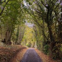 Au détrour des chemin en automne